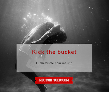  Kick the bucket 